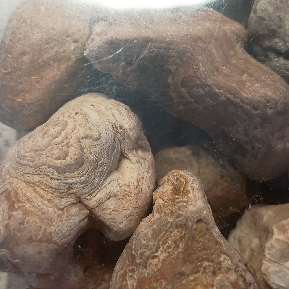 Natural Banded Agate Crystal Rocks, Lot 3.2 lb - Picture 6 of 10